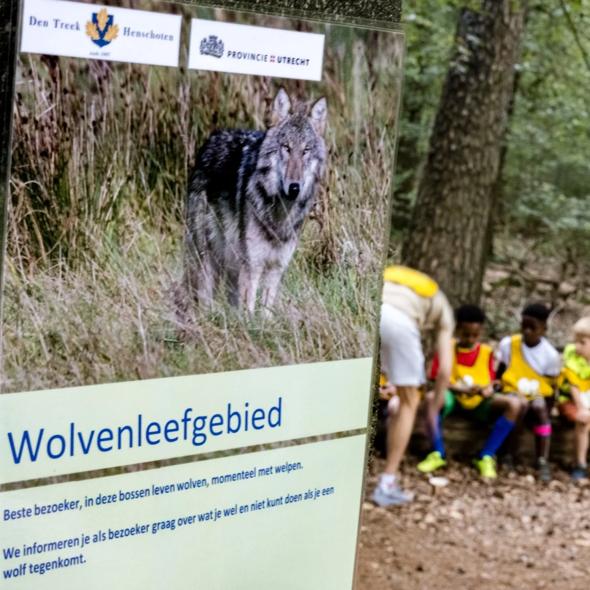 'Kind tijdens spelen gebeten door wolf en bos ingesleurd'