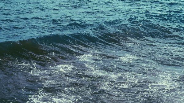 Britse kinderen (11 en 13) verdrinken voor ogen van vader in Salou: 'Zee werd hun val'