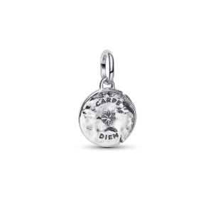 munt, zilver, sieraden