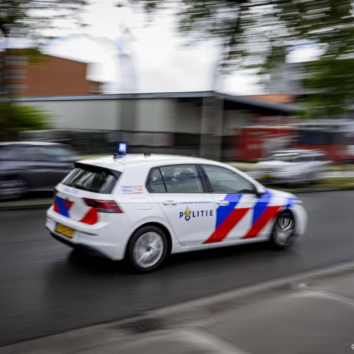 Meisje slachtoffer van zedenmisdrijf in het Zuiderpark in Rotterdam