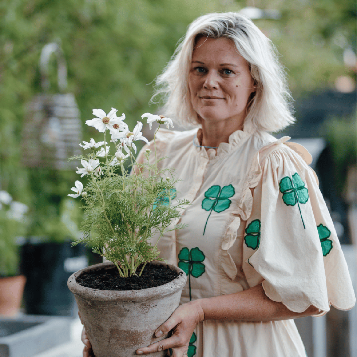 Angelique Bréve over border aanleggen
