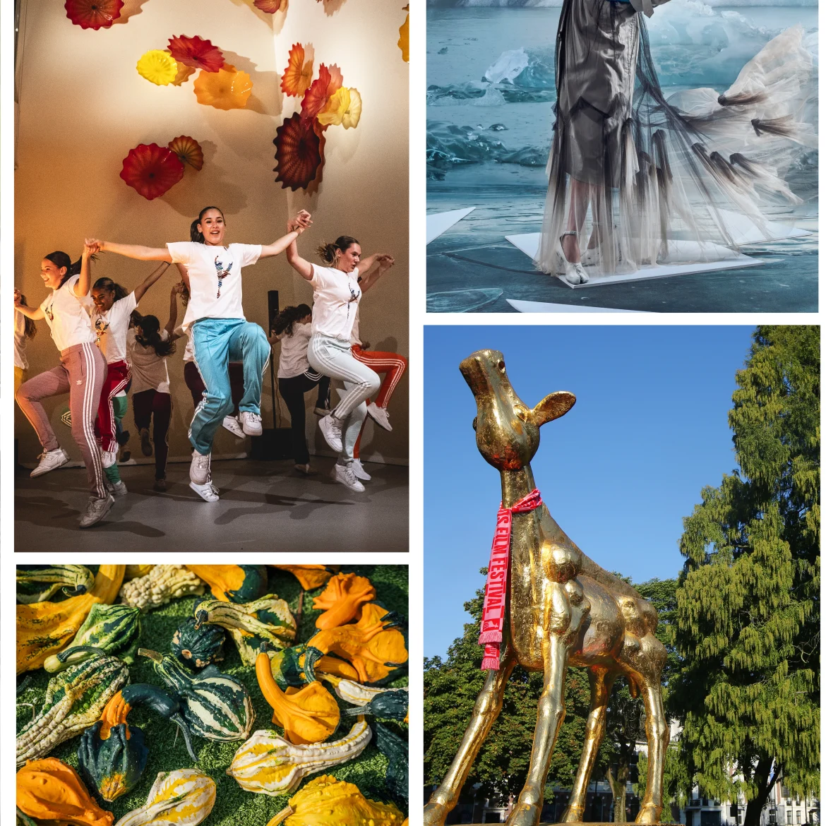 Collage van onze september uitjes