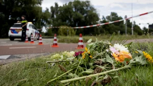 Thumbnail voor Ouders van omgebrachte Lisa (17): 'Onze harten zijn gebroken'