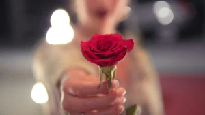 Thumbnail voor Niet één, maar twee oude bekenden doen mee aan 'De Bachelorette'