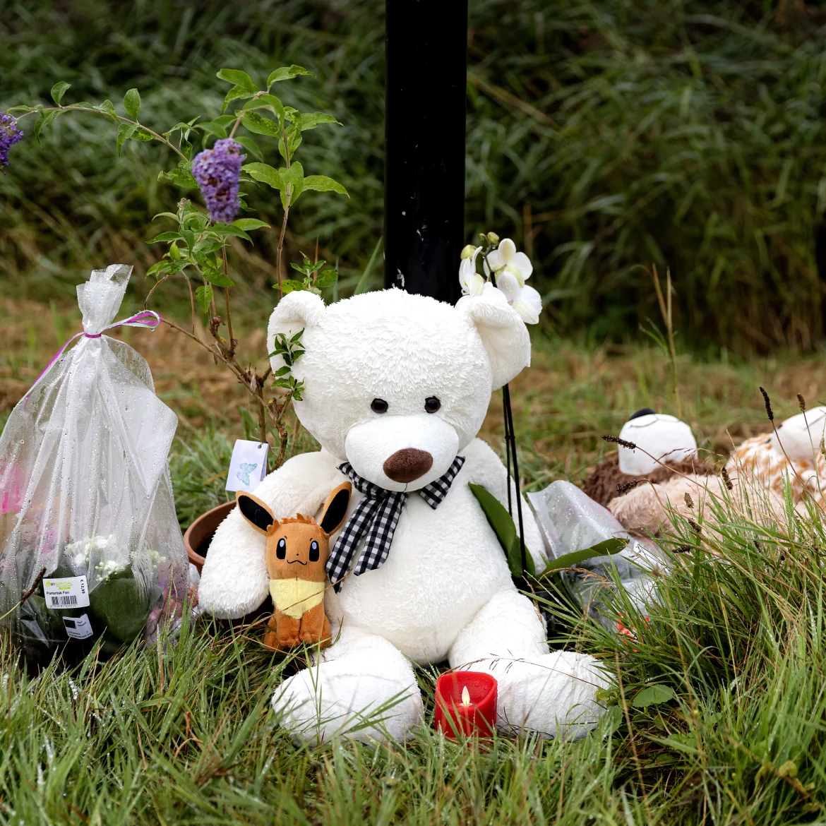 Knuffels langs de weg in Duivendrecht voor de vermoorde Lisa | Abcoude past feestweek aan