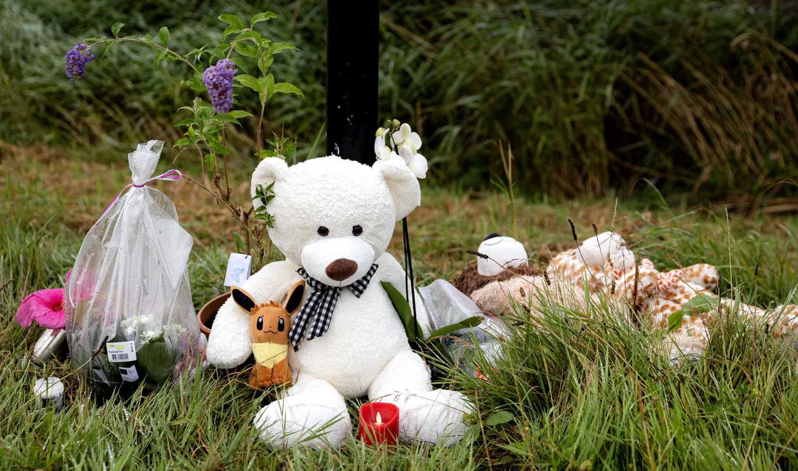 Knuffels langs de weg in Duivendrecht voor de vermoorde Lisa | Abcoude past feestweek aan