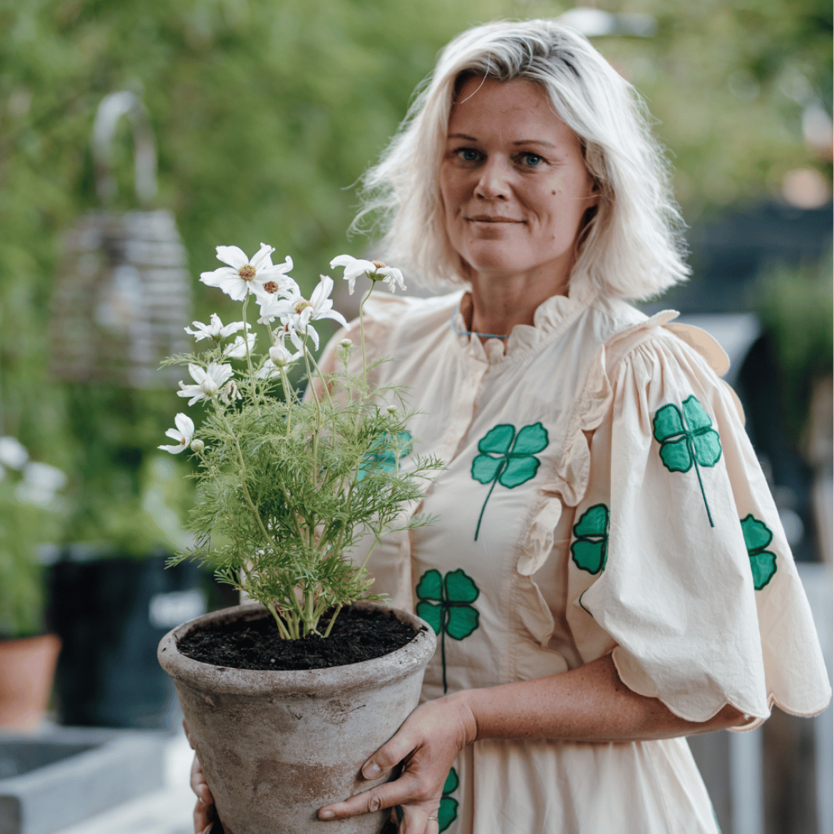 Angelique Brevé
