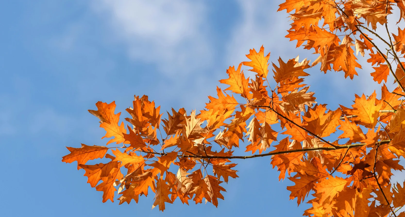 Dít weer kunnen we in september verwachten
