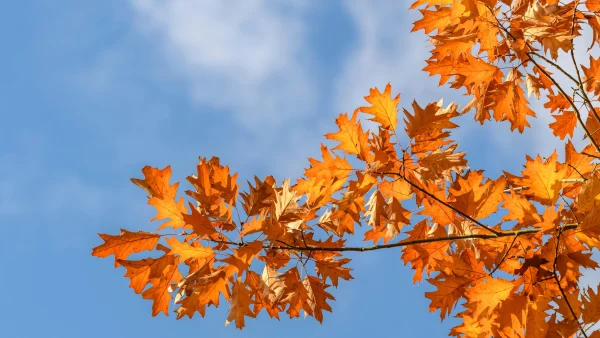 Dít weer kunnen we in september verwachten