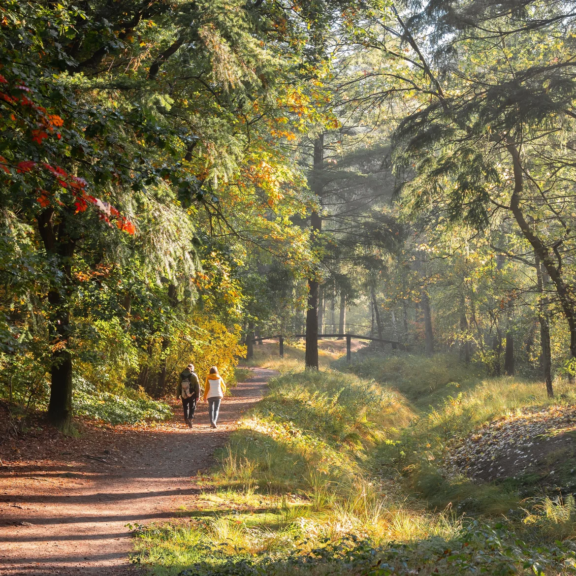 Vrouw wandelt in bos na overnachten in het groen
