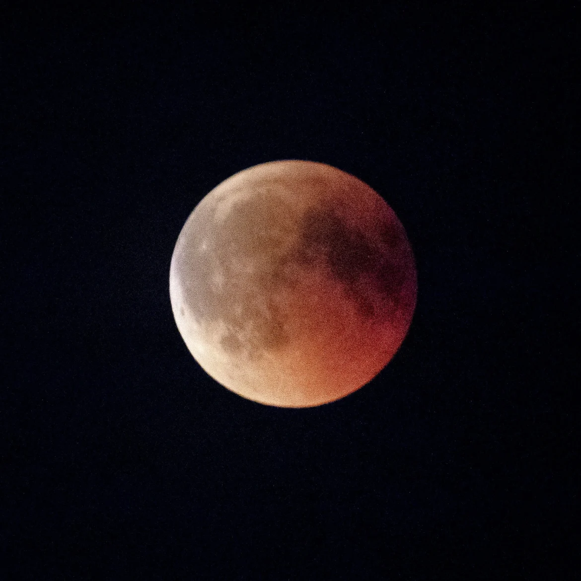 Bloedmaan