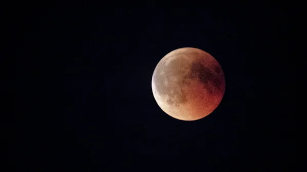 Bloedmaan