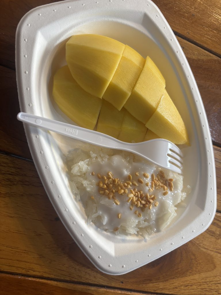 Mango sticky rice op een bordje