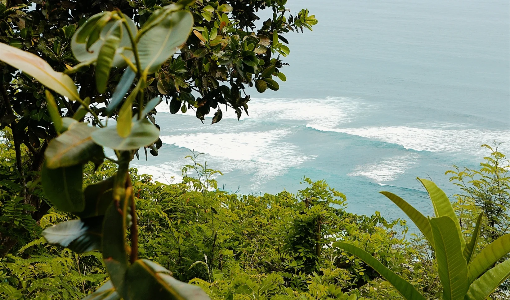 lichaam australier bali hart
