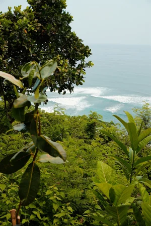 Thumbnail voor Lichaam van overleden Australiër (23) komt terug uit Bali, maar zonder hart