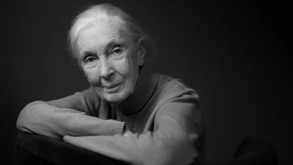 Bekendste chimpansee-onderzoeker ter wereld, Jane Goodall (91), overleden