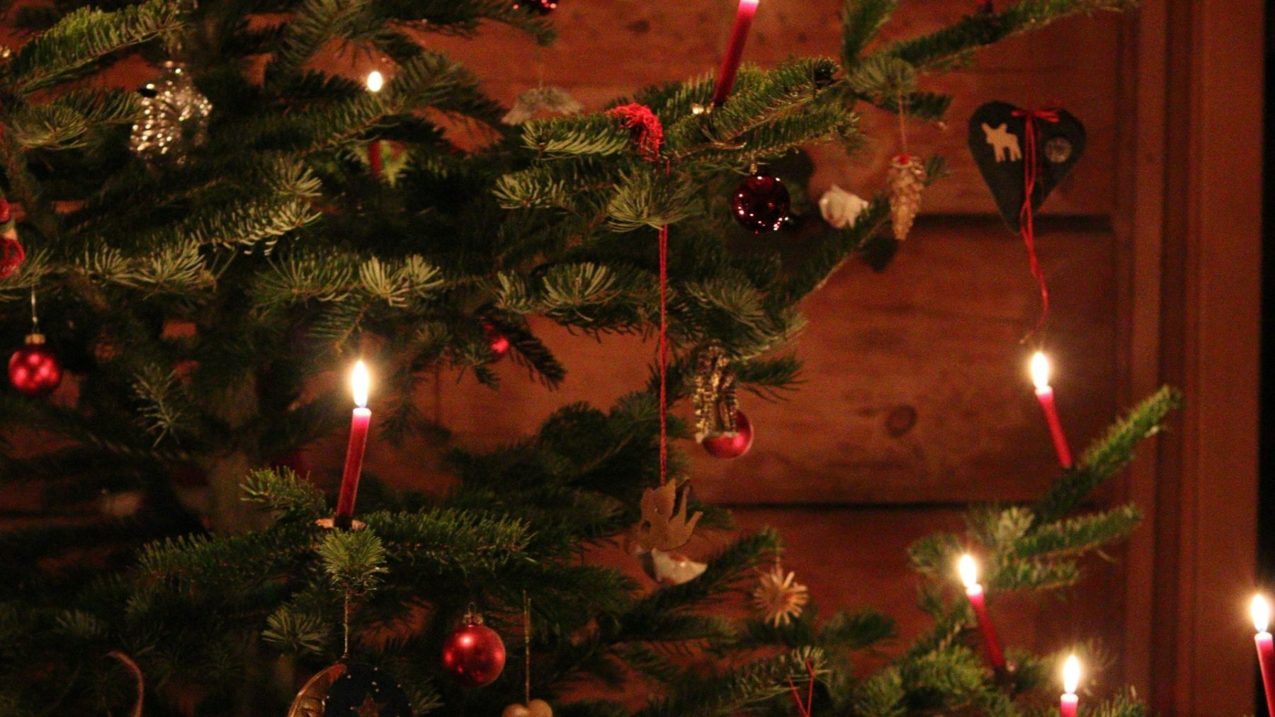 kerstboom | vrij kerstvakantie