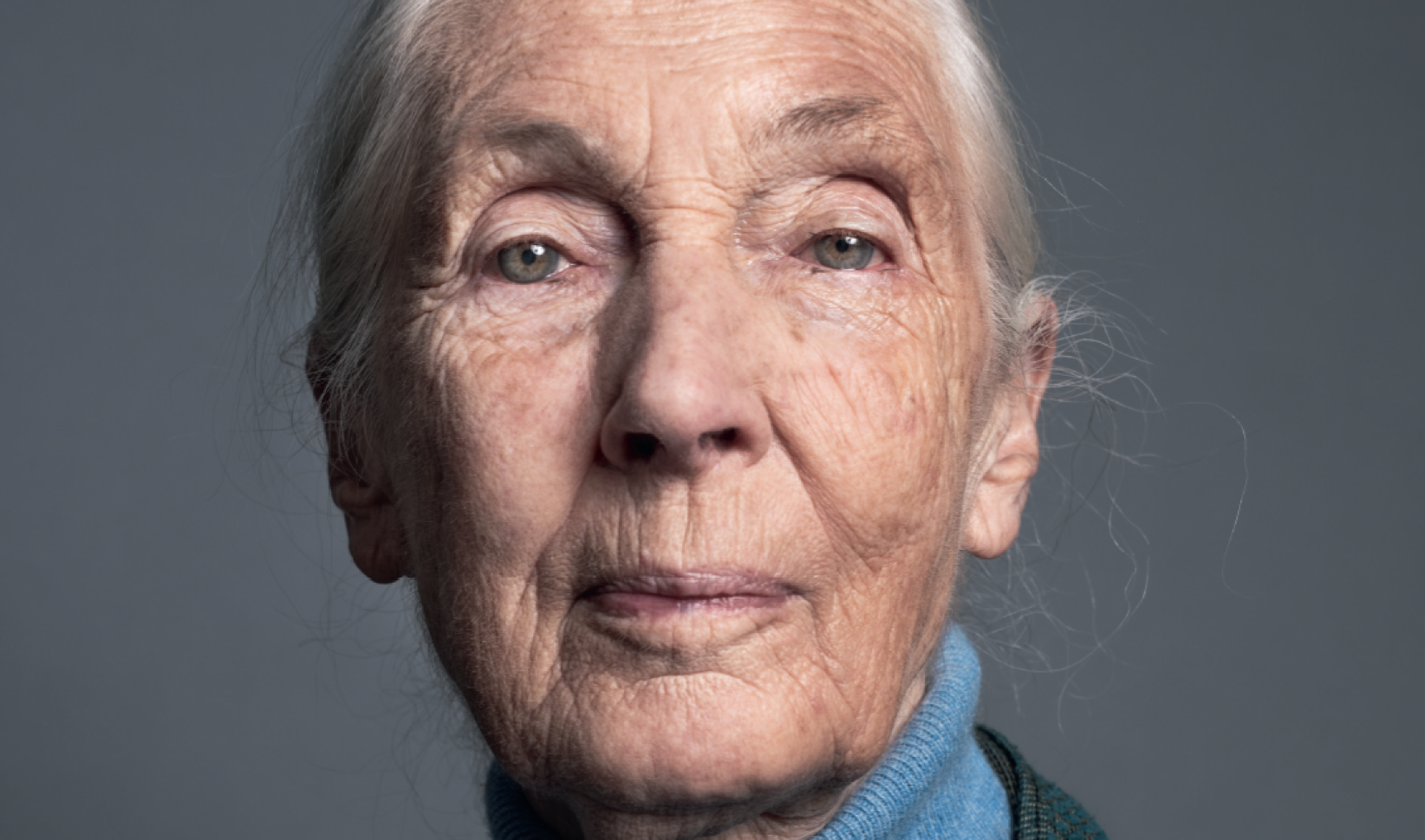 Jane Goodall: de vrouw die ons leerde dat chimpansees – en wijzelf – meer voelen dan we dachten