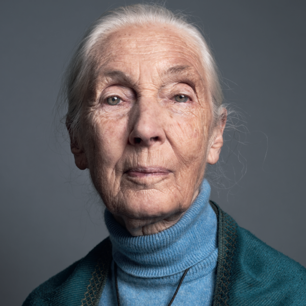 Jane Goodall: de vrouw die ons leerde dat chimpansees – en wijzelf – meer voelen dan we dachten