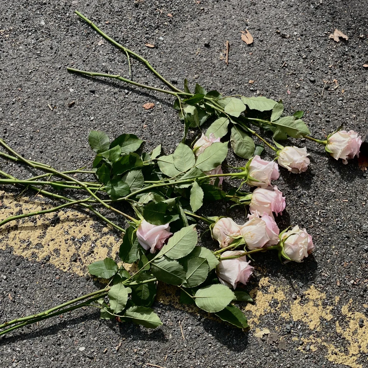 alternatieven begraven cremeren onderzocht