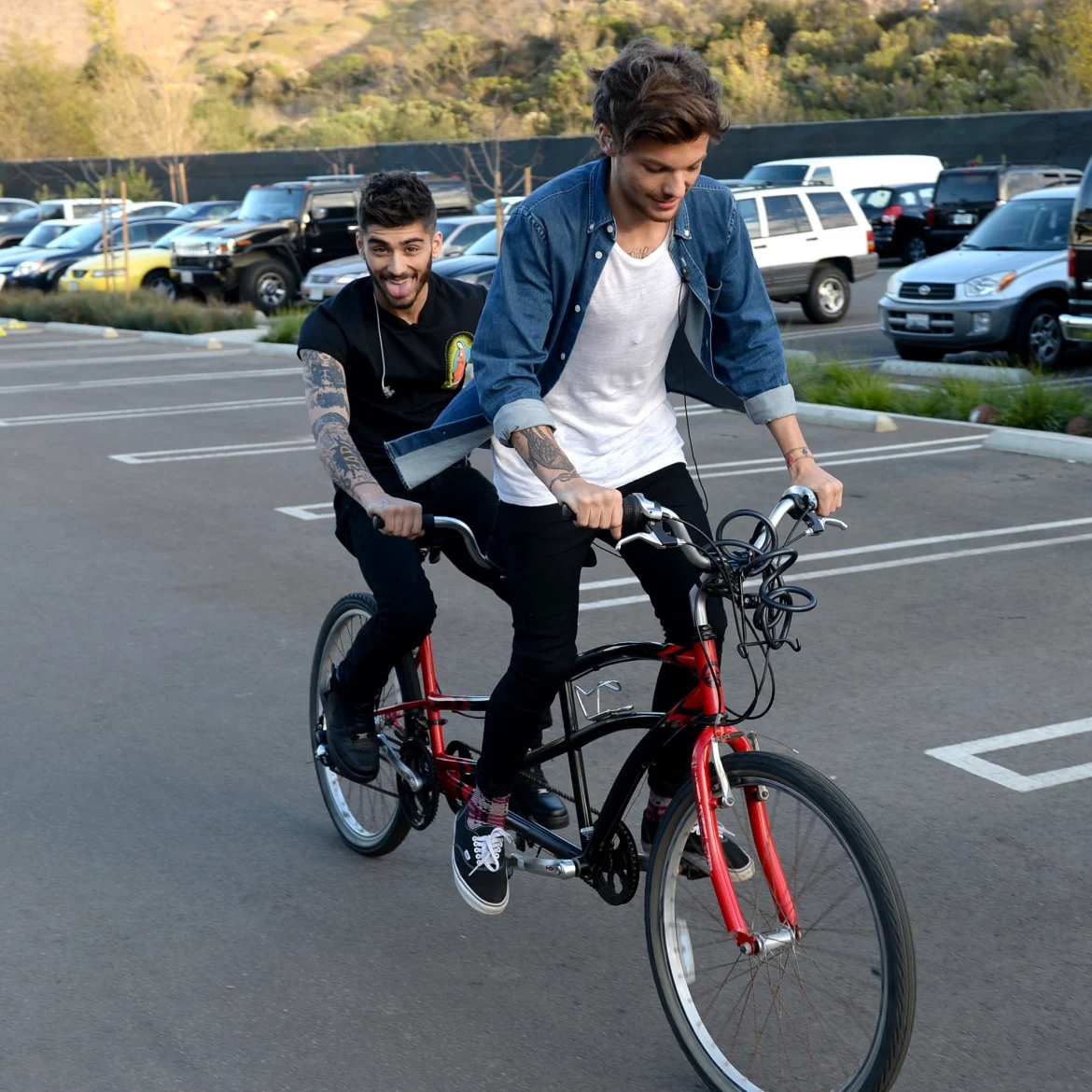zayn louis docu