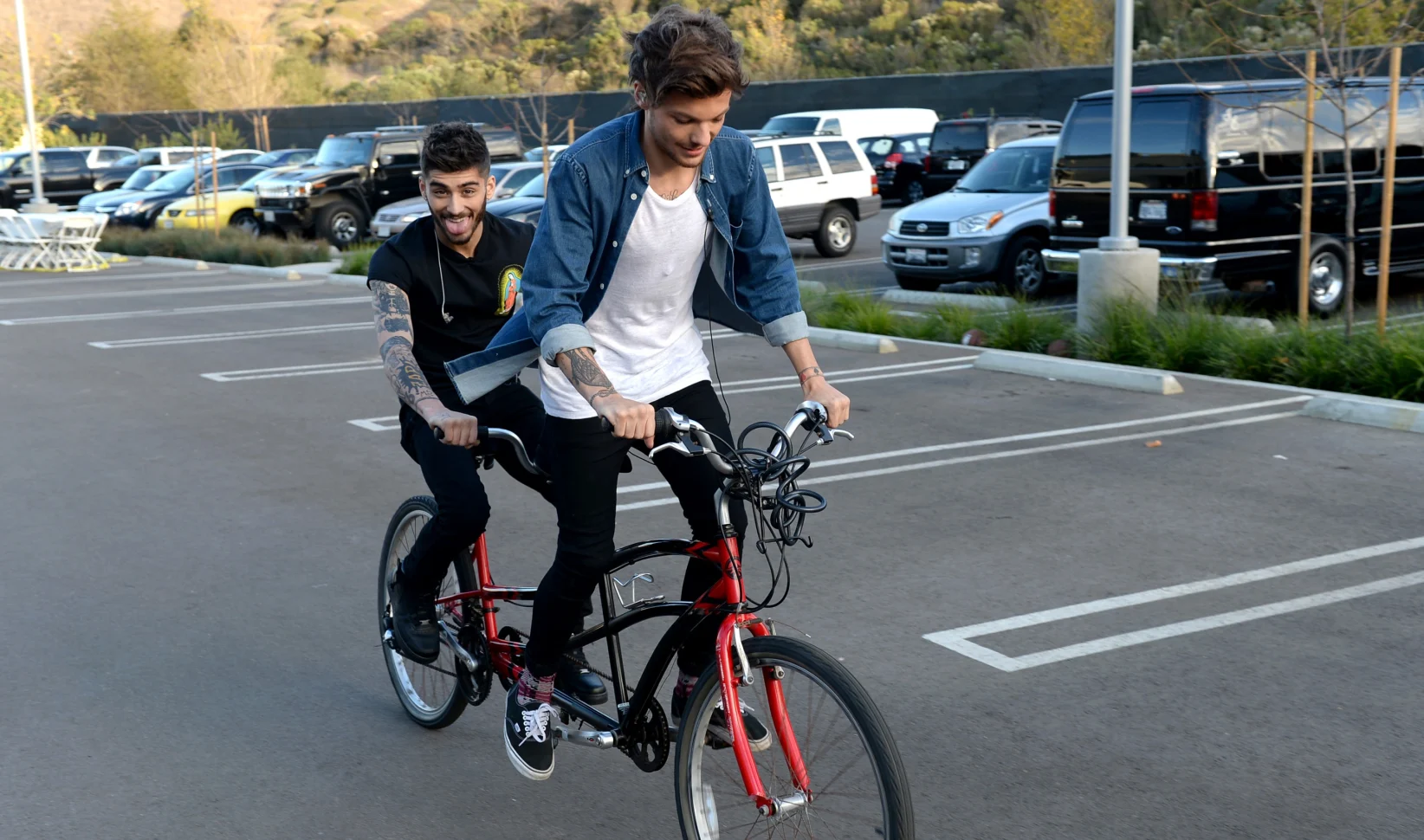 zayn louis docu