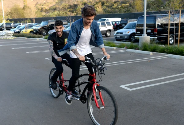 zayn louis docu