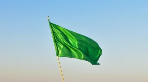 Thumbnail voor Het is tijd om het eens niet over 'red flags' te hebben: dit zijn jullie 'green flags'