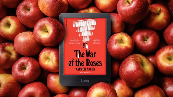 kobo e-reader cadeau linda abonnement