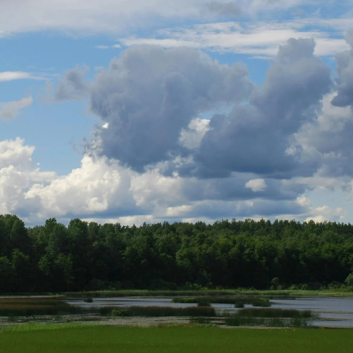 Wisselvallig weer