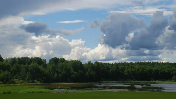 Wisselvallig weer