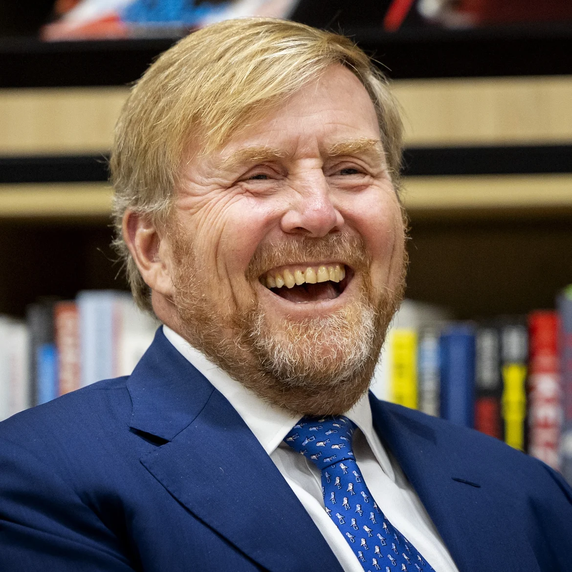 willem-alexander friet patat