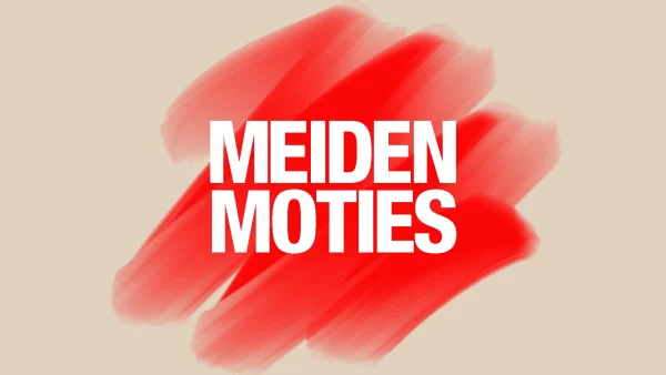meiden moties dit stemden partijen