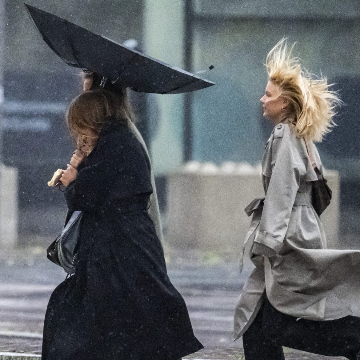 storm benjamin