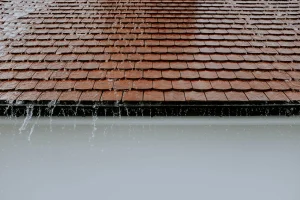 Thumbnail voor Stormschade? Dit vergoedt je verzekeraar