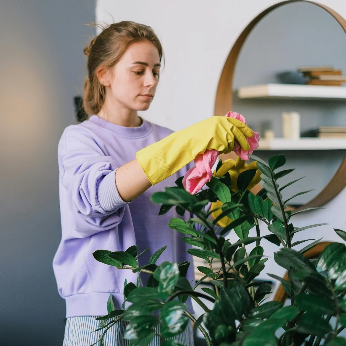 vergeten plekken in huis schoonmaken