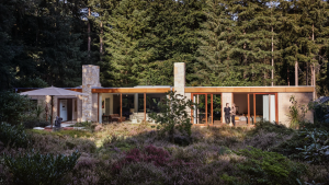 Thumbnail voor Deze bungalow op de Veluwe gaat viral op social media, en zelfs BN'ers zijn onder de indruk