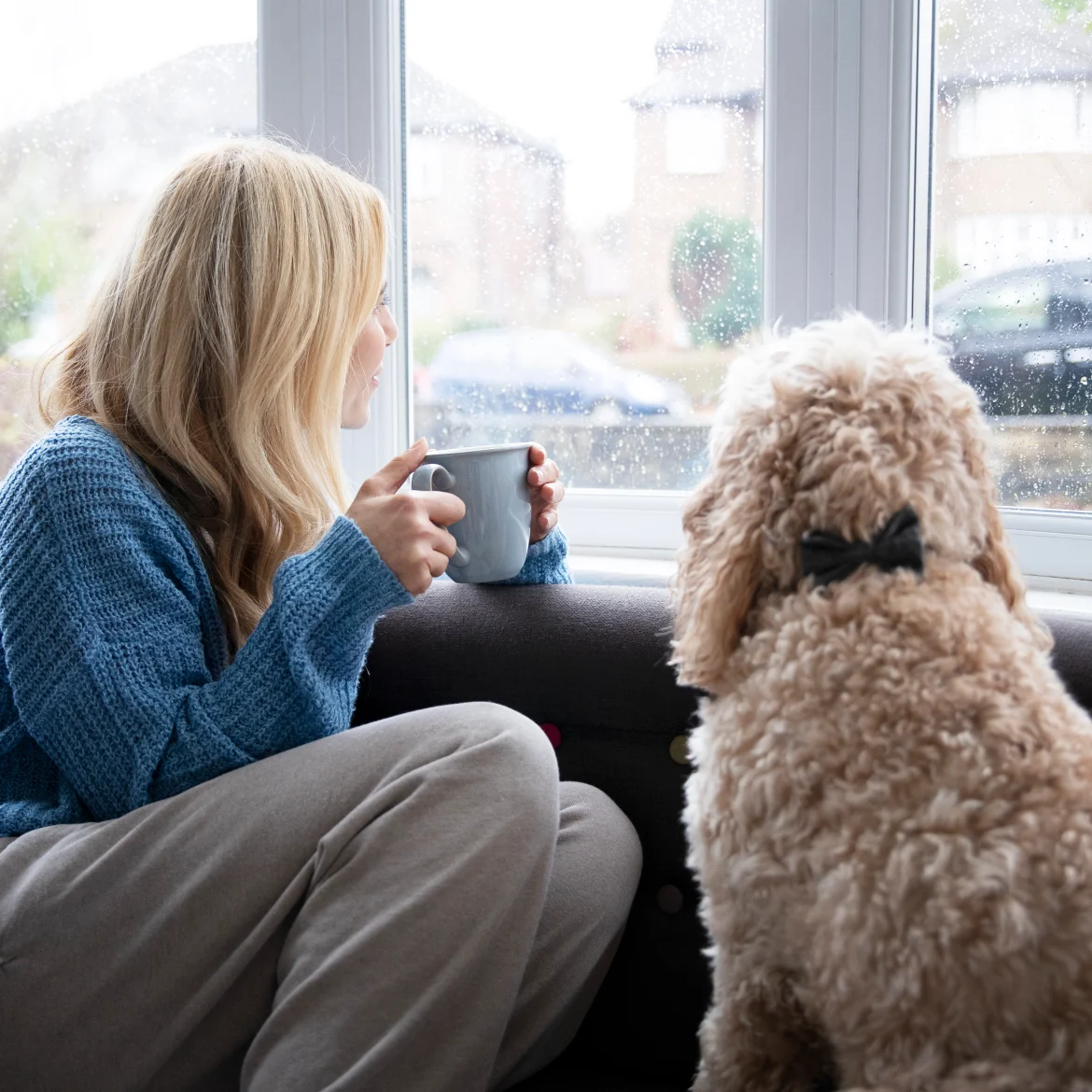Vrouw en hond blijven binnen en kijken naar de regen. het is code geel op zondag