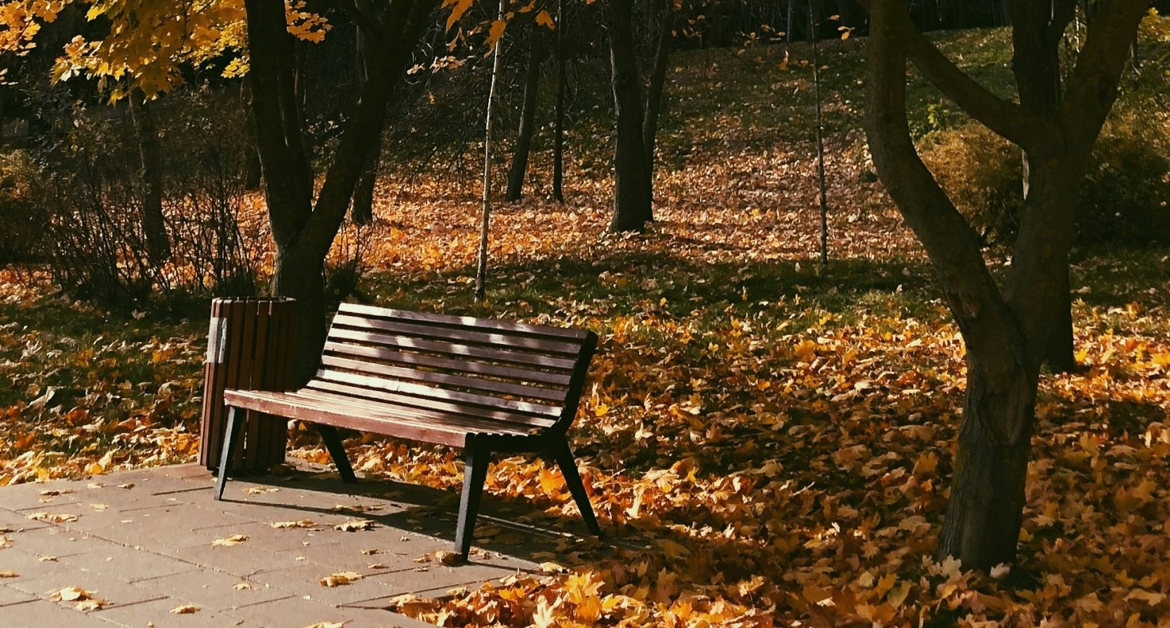 lente in november, bankje in park