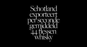 Thumbnail voor ‘Sinterklaas versleet sinds 1950 maar liefst 10 paarden’