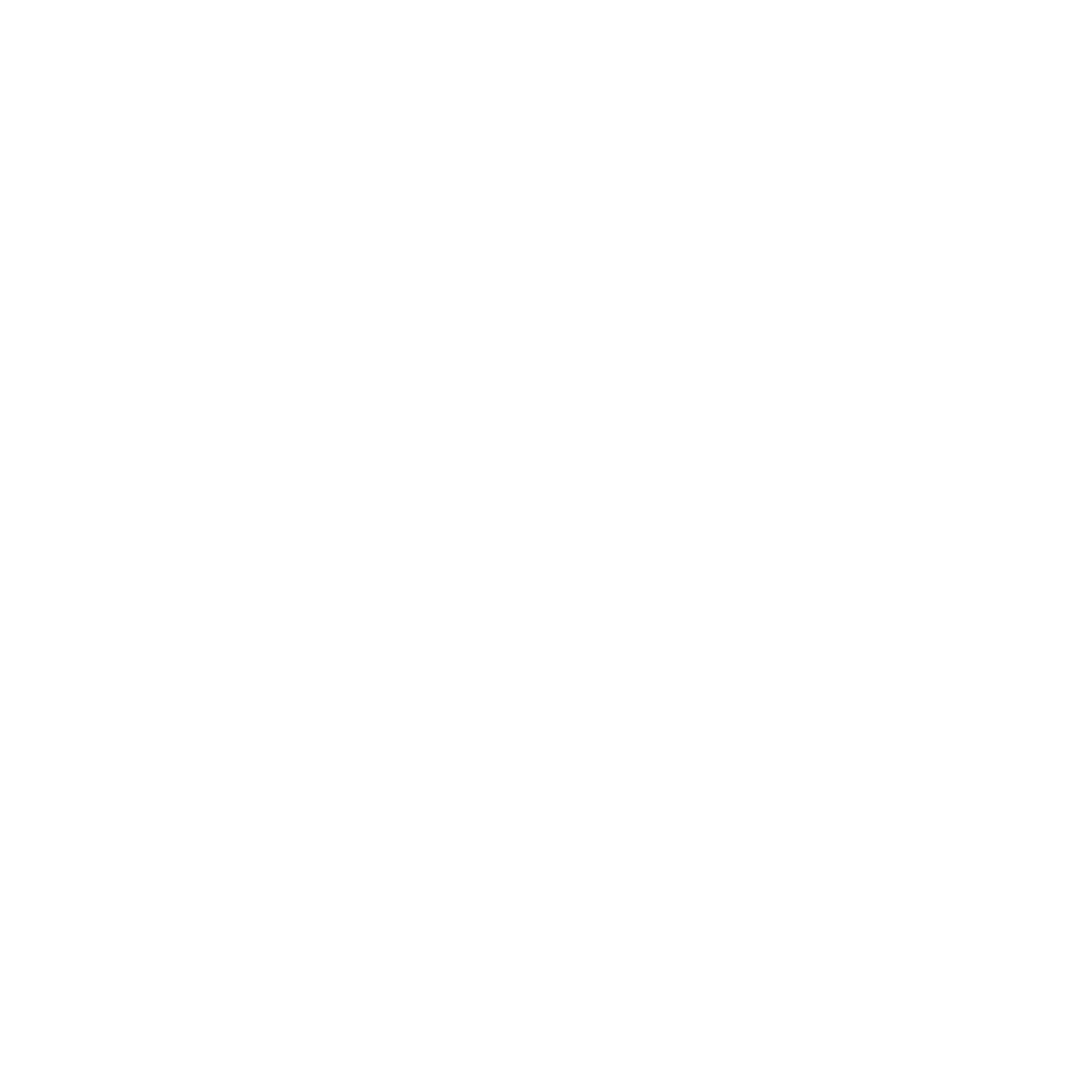 ‘Sinterklaas versleet sinds 1950 maar liefst 10 paarden’