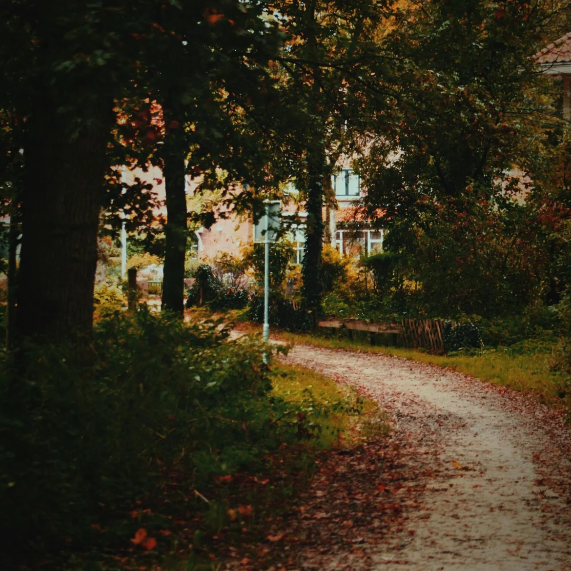 Vrouw verkracht in Beinsdorp