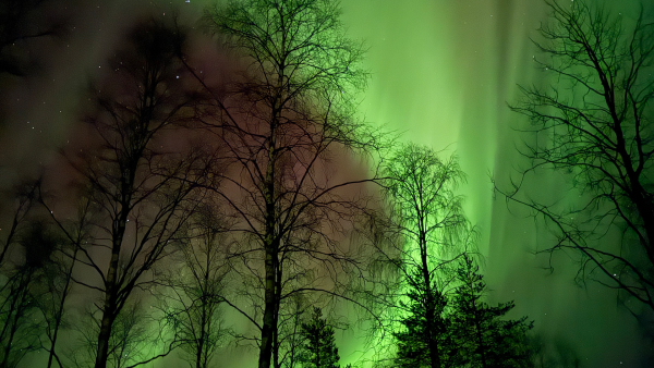 noorderlicht nederland