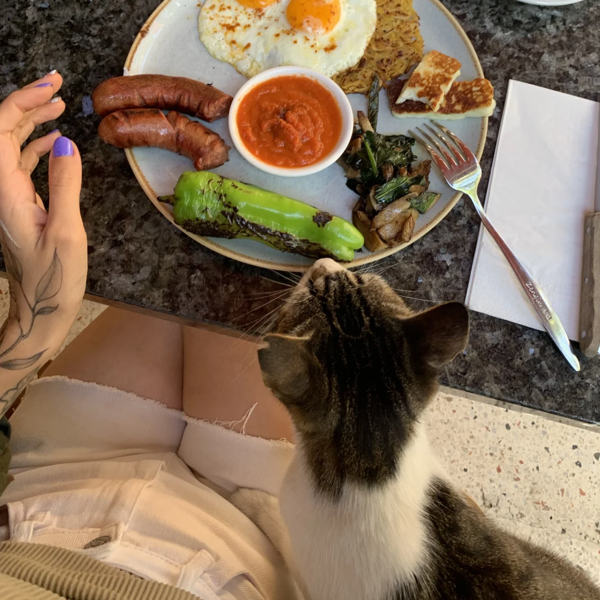 Tikkie te veel Nienke vriendin kaiserbroodje