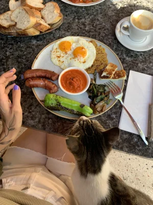 Thumbnail voor Nienkes rijke vriendin vraagt €0,25 voor broodje terug: 'Het groeide niet op haar rug, zei ze'