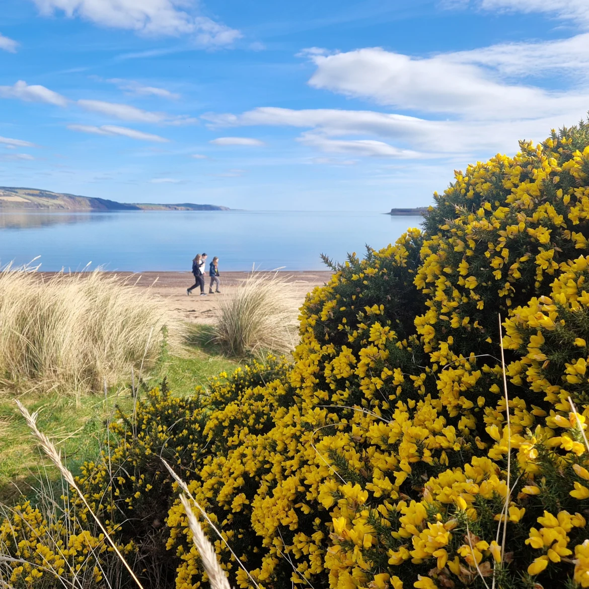 Rust, ruige natuur en eindeloos mooi wandelen: dit stuk Schotland is een bezoek zéker waard