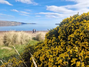 Thumbnail voor Rust, ruige natuur en eindeloos mooi wandelen: dit stuk Schotland is een bezoek zéker waard