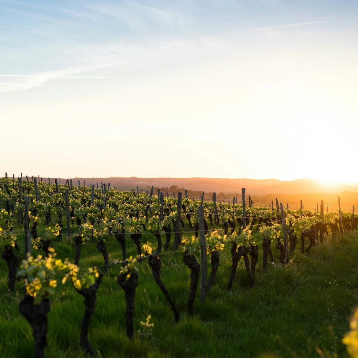 Dít zijn de beste culinaire bestemmingen volgens de Fransen zelf
