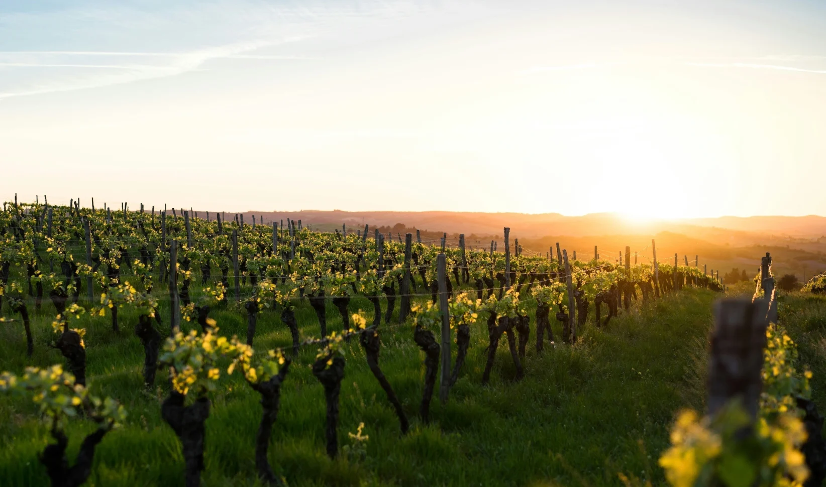 Dít zijn de beste culinaire bestemmingen volgens de Fransen zelf