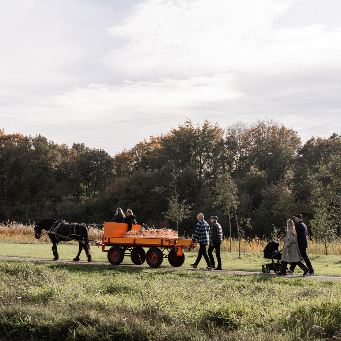 'Joris was gestopt met eten en drinken, hij wilde rust en verlangde naar de dood'